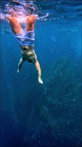 les Sardines de Moalboal #blacktravel #travel #asiatrip #Philippines #Backpackeuse 