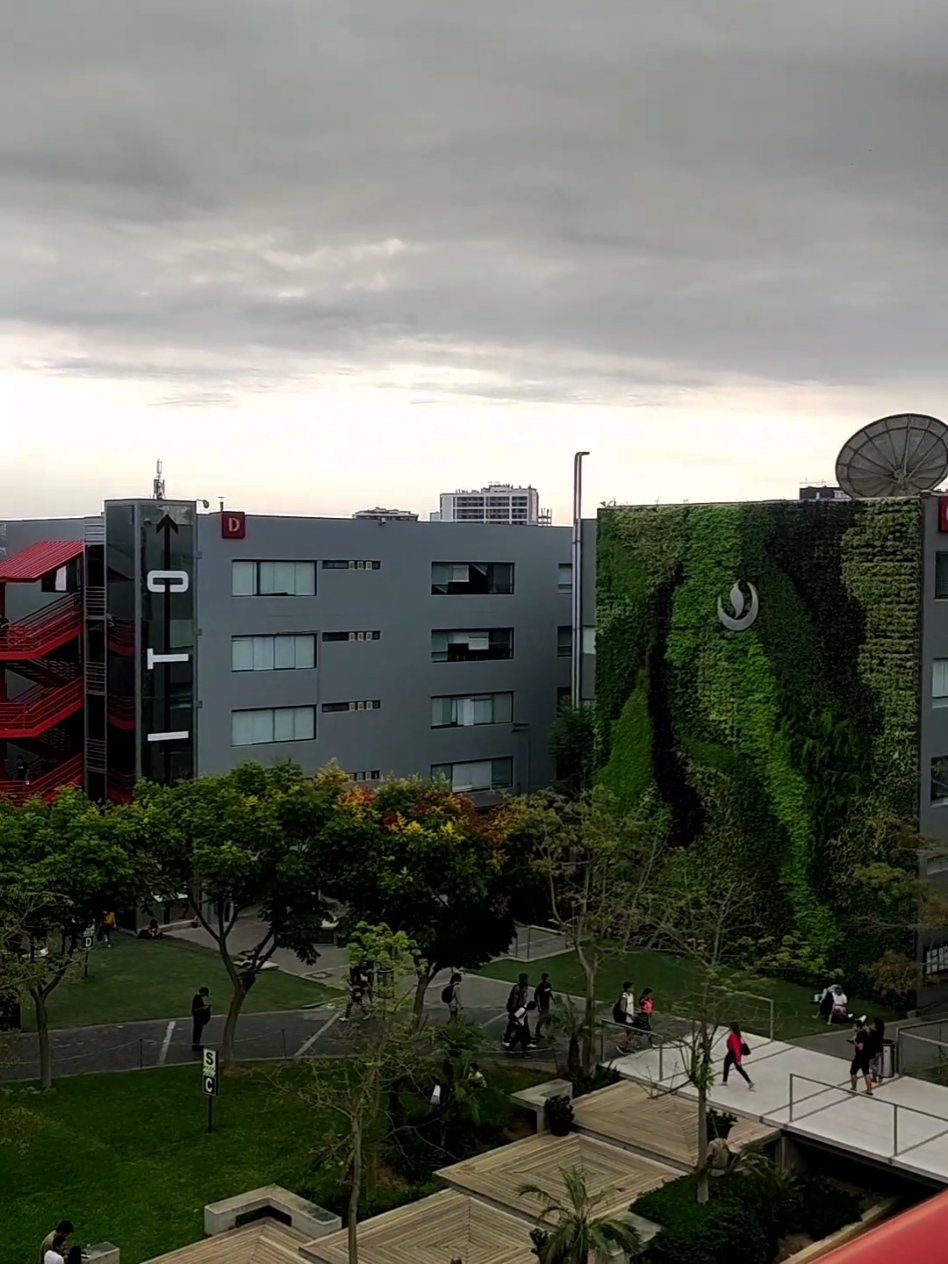 🤣🤭 #corali #cumbiasureña 