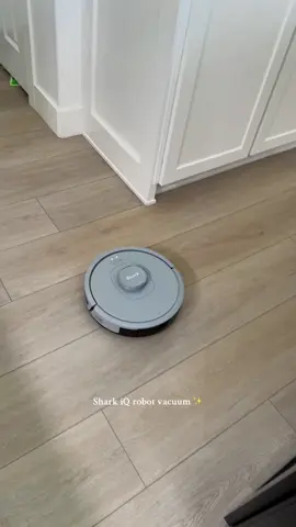 Replying to @MJ ميرا 🪬࿎࿎  Work less play more 🫶🏼😌. Vacuuming while I wash dishes! Who said No To that !?  Take advantage of the extra discount %