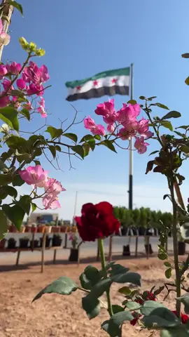 #سوريا🇸🇾 