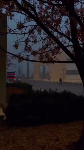 #قران_كريم #راحه_نفسيه #حتي_اذا_استيأس_الرسل 