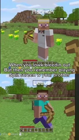 #gaming #Minecraft #tyrecordslol 