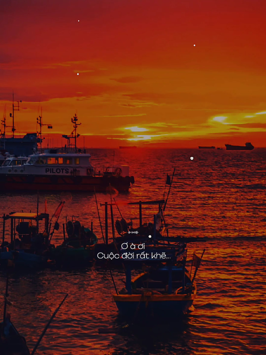 Ơ à ơi cuộc đời rất khẽ chỉ cần lặng nghe cũng thấy an nhiên... [ Sáng Nay Hoa Nở ] #sangnayhoano  #nhacbuontamtrang  #tramcamxuc  #maucapcut  #thanham1991 