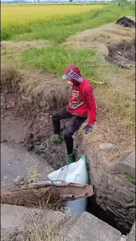 hanya ojek gabah yg tau