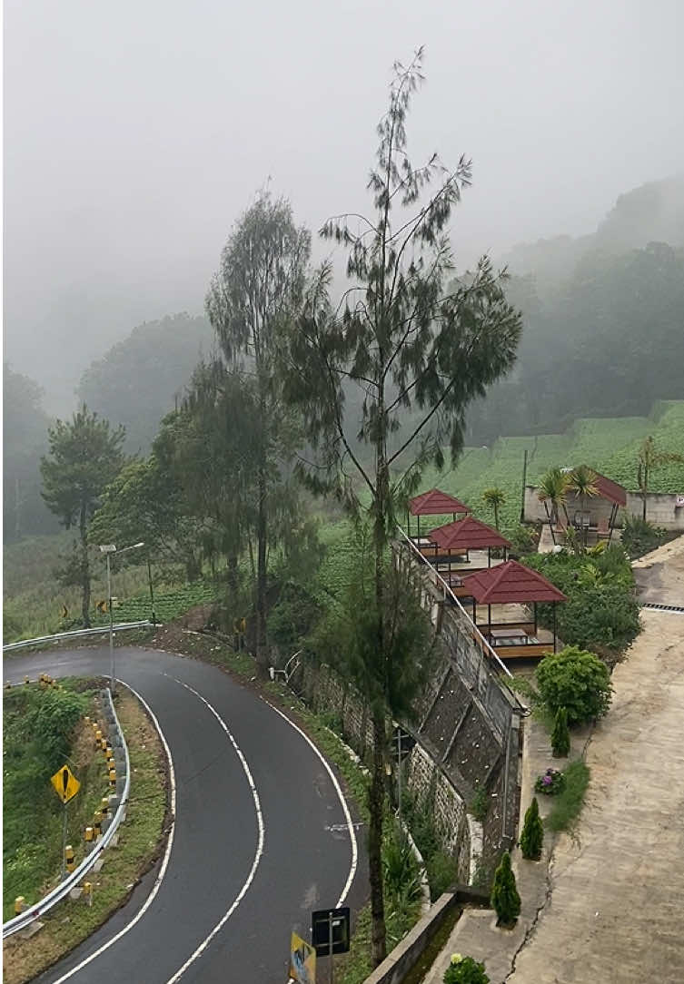 mam view kabut, cangar aftar rain emg se syahdu itu🌫️😋 📍cafe pondok welirang, cangar #4u #cangarbatu #viewgunung #fyppppppppppppppppppppppp #pondokwelirangcafe 