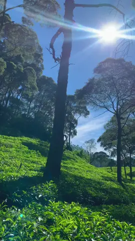 suatu saat kita akan kelilingi tempat ini bersama#ciwidey