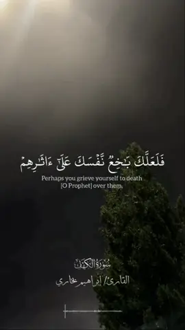 #قران_كريم #قران_كريم_ارح_سمعك_وقلبك♡ 