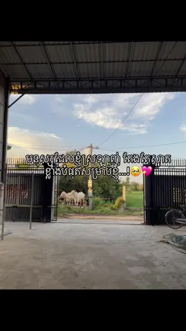 មនុស្សដែលខ្ញុំស្រឡាញ់ តែងតែស្អាតខ្លាំងបំផុតសម្រាប់ខ្ញុំ…!🥹💖#foryoupage #24hours #fypシ゚ #foryou #ចង់ល្បីដូចគេដែរ😭😭 #fypage 