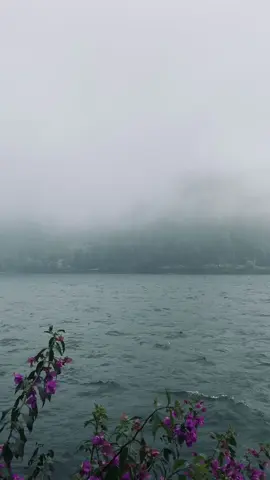 infomu minggu adem🖐🏻 #sarangan #saranganmagetan #fyppppppppppppppppppppppp 