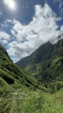 เราชอบสีเขียว  #hikesickday🤧 #แกล้งลาป่วยไปเดินป่า #เดินป่า #rinjani 