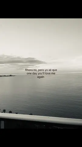 One day you’ll love me again 🫶🏻 #fyppppppppppppppppppppppp #secretaccount #xybca #badbunny #dualipa 