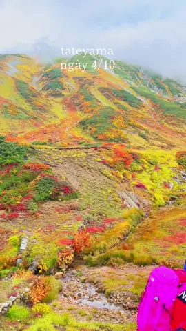 #tateyama 