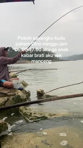 Bahan sw mu sesok mak🤙🏻 Obat ses tetep crit  by @Han Fishing Store 😵 #sodarahaup  #storymancing  #fyp 