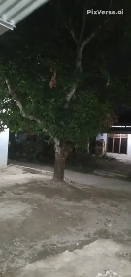 kata orang orang hantu tu bentuk nya tidak padat seperti asap 