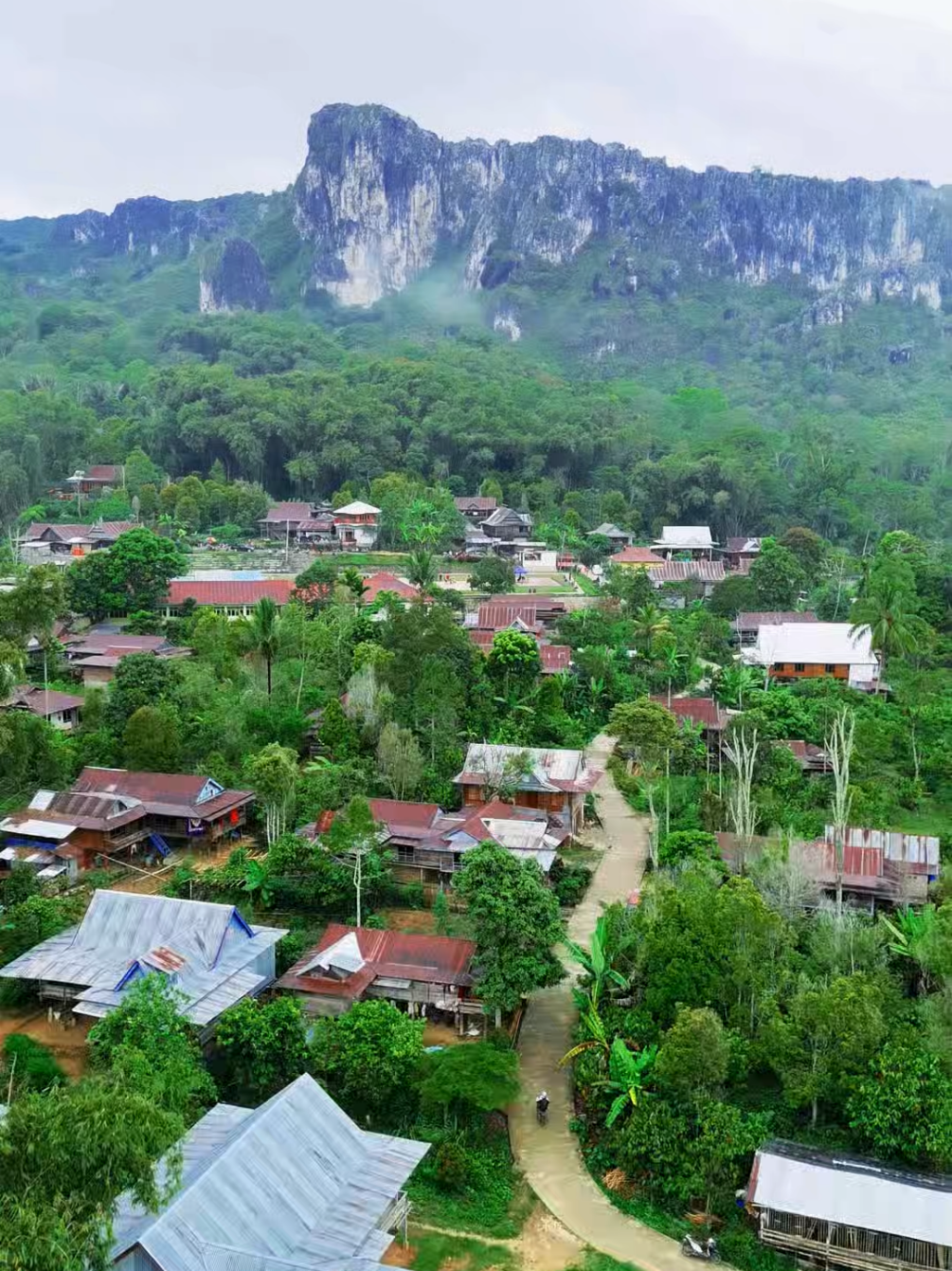 🌳⛰️ #kecamatanbaroko #enrekangduri #bentengallautara #enrekangsulawasiselatan #enrekangtiktok  backsound: @dplustofficial  CC: @sabarlana 