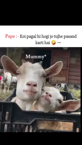 😻😎#foryoupage #fyppppppppppppppppppppppp #kapilvastu_tiktok_user 