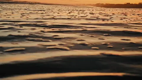 #fyp #cinematic #wherehaveyoubeen #viral #paratiiiiiiiiiiiiiiiiiiiiiiiiiiiiiii 