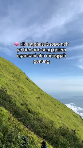 plng angel golek konco munggah gunung sng yak yak an🥲#sindoro3153mdpl #pendakicantik #pendakigunung #fyp #fypシ 