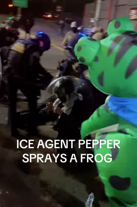 It’s an interesting one … an ice agent pepper spraying a mascot or a frog. I just don’t get it they’re in the costume the pepper spray is just getting on that. ICE agent interesting choice. #pepperspray #ice #trump #liberal #democrat