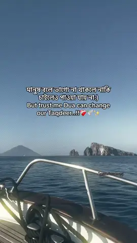 Hmm😌🤍🕊️✨#vairal #vairalvideo #foryou #foryoupage #foryoupageofficiall 