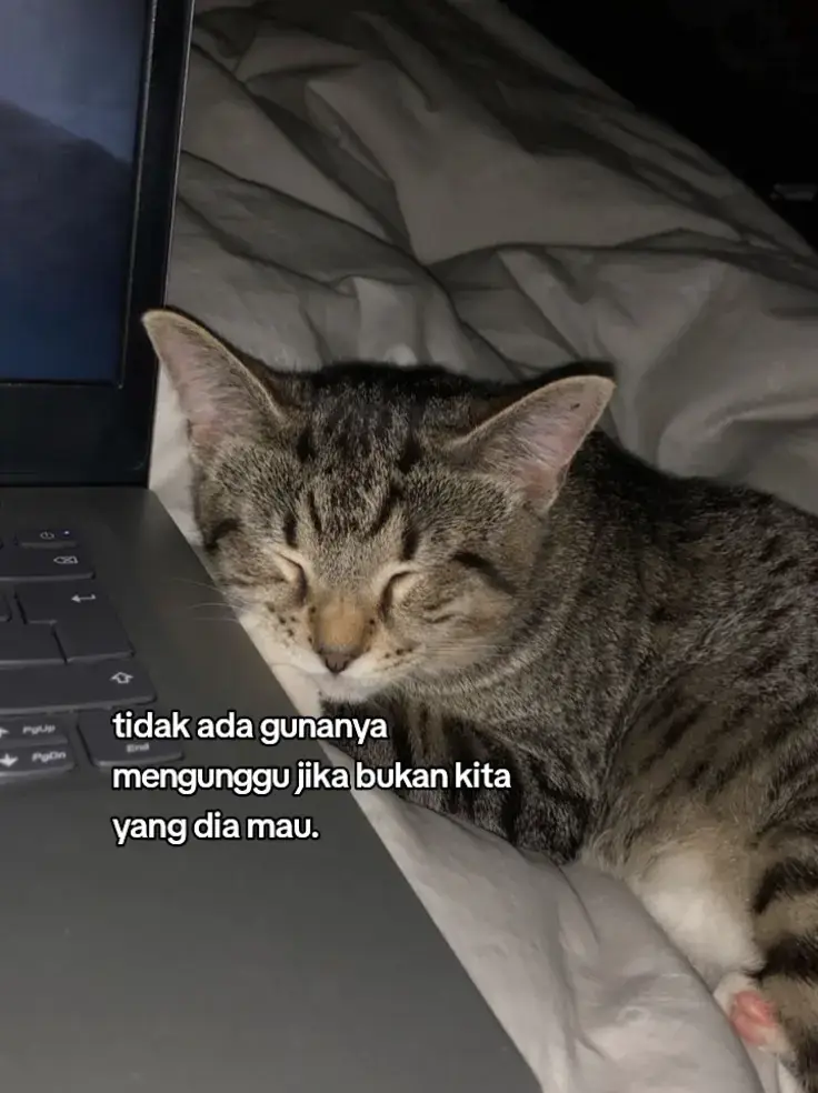 .... berikut Resep Kentang Goreng Renyah 📒Bahan:* 500 gram kentang 2 siung bawang putih (geprek) 1 sdt garam Tepung maizena secukupnya Air dingin + es batu secukupnya Minyak goreng Langkah-langkah:* 1. *Kupas dan potong kentang* memanjang seperti stik. 2. *Rebus kentang selama 5 menit bersama bawang putih dan garam. 3. *Tiriskan*, lalu rendam kentang dalam air es selama 10 menit. 4. *Baluri kentang dengan tepung maizena secara merata. 5. *Simpan di freezer* selama 1-2 jam agar teksturnya makin renyah saat digoreng. 6. *Goreng kentang dalam minyak panas hingga kecokelatan. 7. *Tiriskan dan sajikan dengan saus favoritmu! #4uyou #foryoupage #galaubrutal 