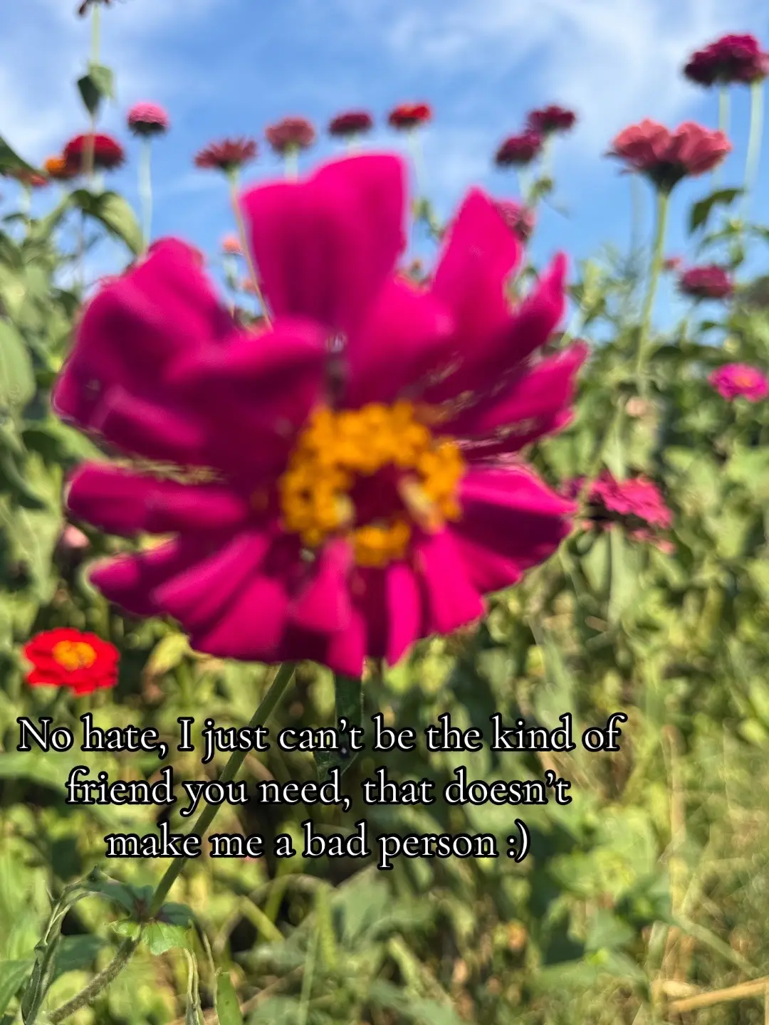 Realizing that it’s okay to not live up to the expectations of other people <3 