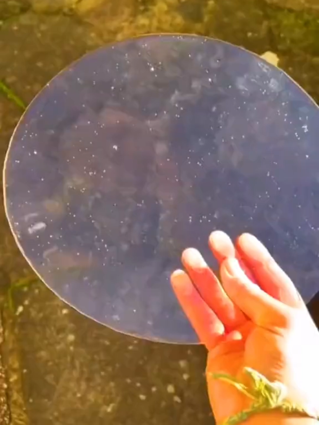 Best Offline Games 🗿🍷 #mobilegame #topgames #nowifigame #gaming #xyzbcaa