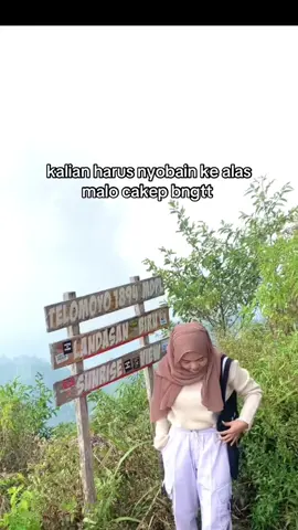 yg males ndaki gunung kesini aja #bojonegoro24jam 
