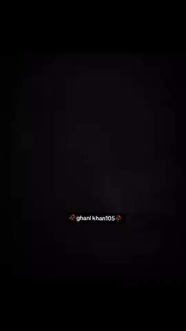 #creatorsearchinsights #viralvideo🔥 #trending #foryou #pashtotiktok 