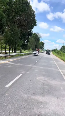 ขาดเหมยกันแล้วน้ะตาพราน ขาวมหาชัย หล่อน้อย โหนดหลังขาวยอดวิชา ควายป่าบาก #ไม่ใช่การทารุณกรรมสัตว์ #ป่าบอนหวานเจี๊ยบบ💖🤘 