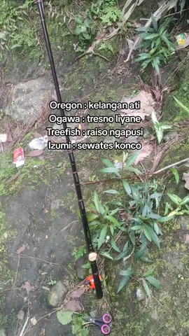 Keluh kesah mu bolo😌 #fyppppppppppppppppppppppp #storymancing #mancingmania #fyp #xzyabc 