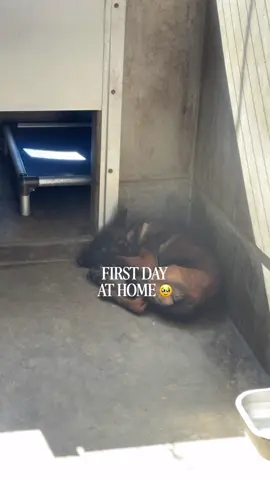 Day 1 complete !!! 🖤🖤🥺🥺 I love him!!!! 