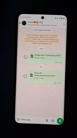 Quieres ser mi novia🌸❤️ #html_css_js #dedicar #parati #Quieres_ser_mi_novia #dedicar 