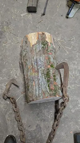 #logging #loggerlife #oldloggingstuff #log .grabs #antique 