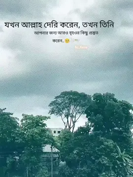 যখন আল্লাহ দেরি করেন, তখন তিনি আপনার জন্য আরও বৃহওর কিছু প্রস্তুত করেন..🥺🤍🕊#plz #copylink 