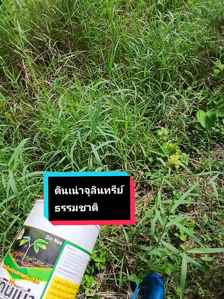 ดินเน่าสารอินทรีย?จุลินทรีย์ธรรมชาติช่วยปรับดินพื้นฟูดิน ดินแข็งดินเสื่อมดินเปรี้ยวดินปลูกพิชไม่งาม#ลุงเพียรคนแพร่ #ดินเน่ากู้ดิน #ดินเน่าจุลินทรีย์ธรรมชาติ #นายหน้าtiktokshop #tiktokshopคีเอเตอร์ @ลุงเพียรคนแพร่ @ลุงเพียรคนแพร่ @ลุงเพียรคนแพร่ 