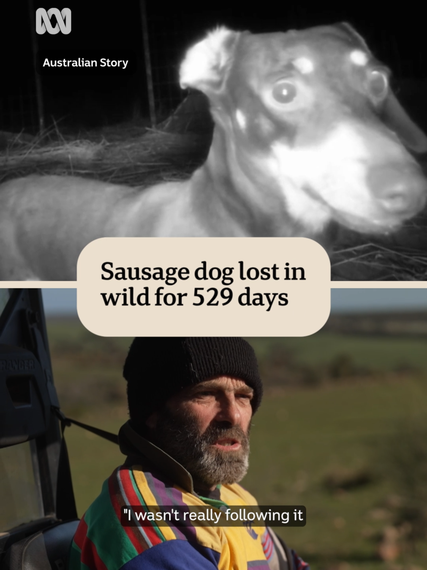 Valerie was lost on Kangaroo Island in South Australia for almost 18 months after escaping her pen on a camping trip.    After she was spotted, locals spent weeks trying to trap her, but the mini sausage dog was cunning and elusive.   📺 Watch ‘Dog Gone: The Hunt for Valerie’ now on @ABCiview via link in our bio.   #AustralianStory #SausageDog #Dogs #KangarooIsland #Valerie