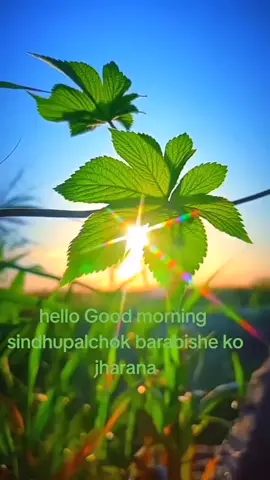 #creatorsearchinsights hello Good morning TikTok sathi haru म चाहिँ अहिले सिन्धुपाल्चोक १२बिसे झरना घुम्दैछु है #onthisday #नेपालीकलासंस्कृति #fouryoupage #tranding @sundar_thapa🇳🇵 @Amit Giri 🐦‍🔥🇳🇵 