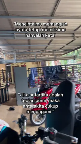 Raiso ngapusi 2.                   #lewatberanda #sadvibes #galaubrutal #fypppp #dailylife 