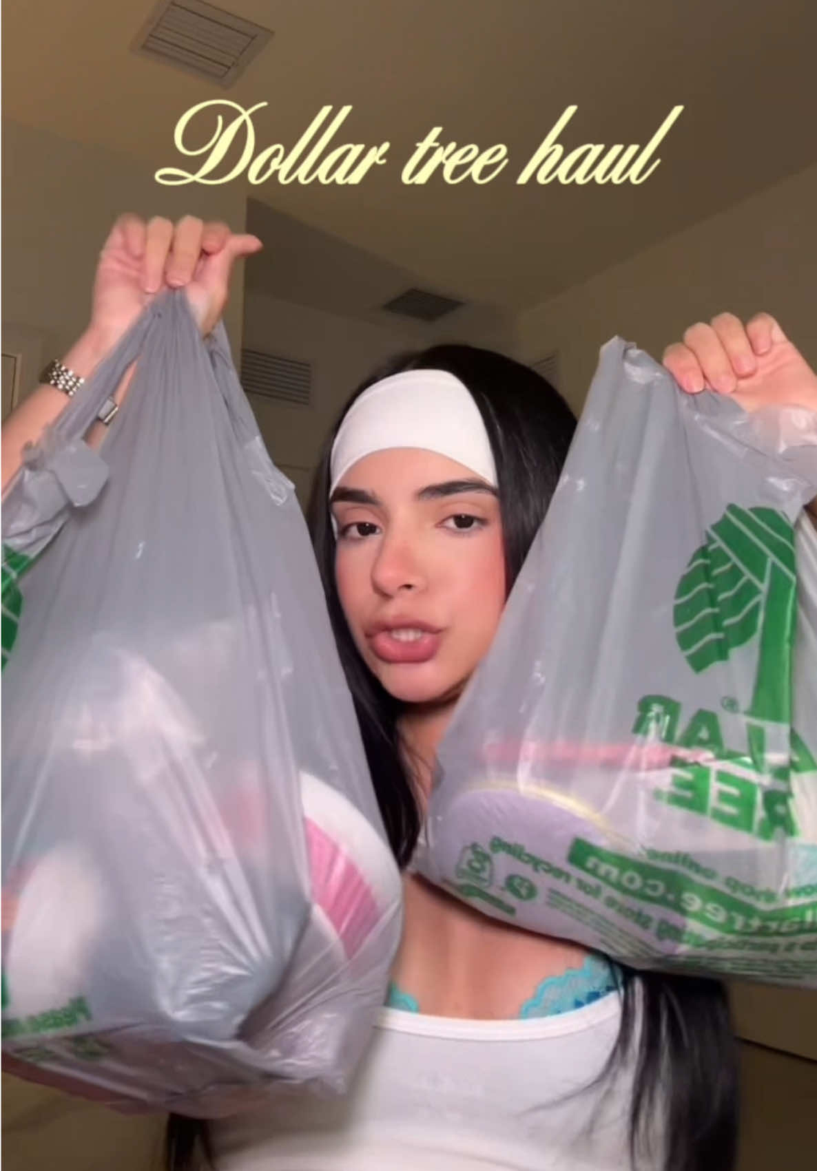 dollar try haul😊 #dollartreefinds #haultok #fyppp #dollartreehaul #viralvideos 