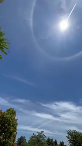 Fenomena Halo Sun atau biasa disebut matahari pelangi bisa terjadi karena pembiasan dan pemantulan cahaya matahari oleh kristal es di atmosfer, terutama di awan cirrus atau cirrostratus yang berada di ketinggian 5-10 km di atas permukaan bumi. penjelasan singkat 1. Kristal es berbentuk heksagonal di awan tinggi bertindak seperti prisma. 2. Saat cahaya matahari melewati kristal es tersebut, ia dibiaskan (dibelokkan) dengan sudut tertentu, biasanya sekitar 22 derajat. 3. Ini menyebabkan terbentuknya lingkaran cahaya (halo) yang tampak mengelilingi matahari. 4. Kadang-kadang juga terlihat warna pelangi samar karena pemisahan cahaya (dispersi) mirip seperti di pelangi. Catatan: Halo sering muncul saat cuaca cerah tapi ada awan tipis di langit tinggi. Dalam beberapa budaya, halo matahari dianggap sebagai pertanda akan datangnya hujan atau perubahan cuaca, karena awan cirrostratus bisa mendahului badai. #halosun #mataharihalo #fenomena #matahari #fyp 