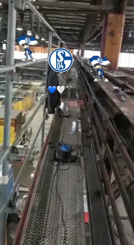 Kohle unter unseren Füßen.  Schweiß im Gesicht. Stolz im Herzen. Das ist unser Lied, unsere Heimat, unser Verein. So ist es. So war es. Und so wird es immer sein. Schalke ist mehr als Fußball. Eine Liebe fürs Leben. 💙🤍⚒️   #nurders04 #kohleuntermherz #schalkelebt #königsblau #blauundweiß