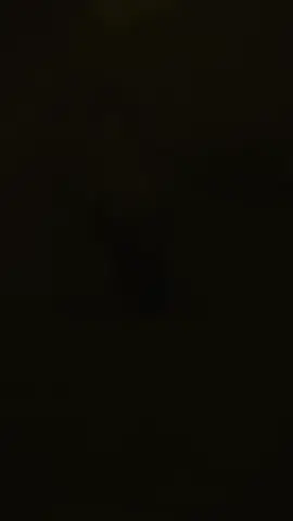 ආසම Hornet Owner කියන්නේ....🤭🍒