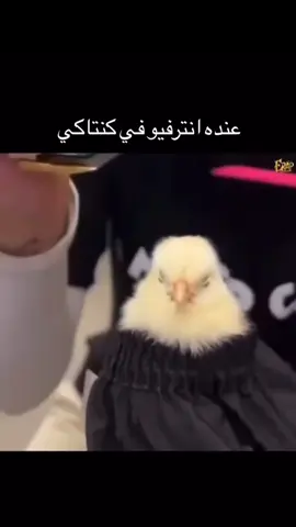 #foryoupage #الشعب_الصيني_ماله_حل😂😂  #اكسبلور #meme #capcut 