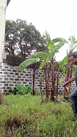 ikaw na nman pare jet lee🤭 #fypシ #tiktokph #foryoupage #goodvibesonly🥰✌️ #intertainmentonly😂😂 