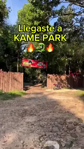 📍 ¡El primer parque temático de Dragon Ball en América está en Tauramena, Casanare – COLOMBIA 🇨🇴! ¿Listo para venir a cumplir tu deseo con Shen Long y conocer Kame House, la Nave Saiyajin y mucho más? 🐲✨  Te esperamos en Kame Park 🔥🐉 #shenglong #dragonball #goku #anime #kamepark 