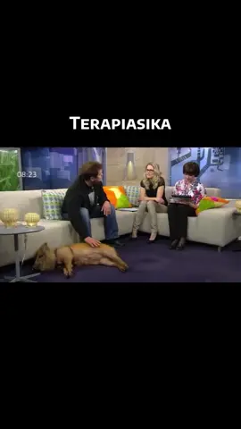 #sika #yleareena #suomiklipit #suomiklassikot #hauska 