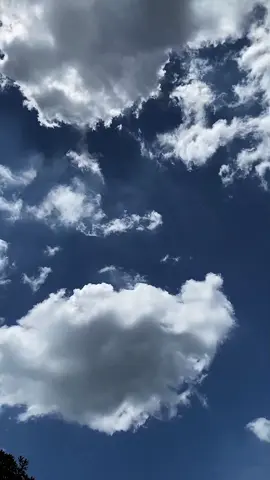 seindah ini ya memandangi langit yang kita sukai 😌#fyp #awan  #foryou #aesthetic #langitfavorit 