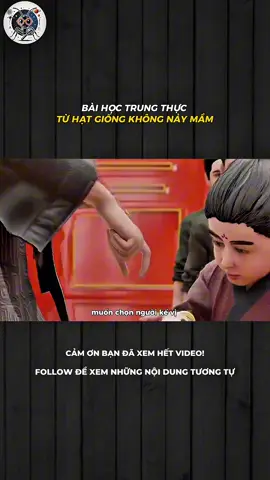 BÀI HỌC TRUNG THỰC TỪ HẠT GIỐNG KHÔNG NẢY MẦM #LearnOnTikTok #xh #khampha #khoahoc #fyp 