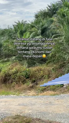 #fypシ゚ #storyrantau #sawit 